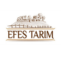 Logotipo de empresa de referencia
